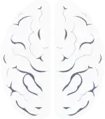 Cerebro-1-ro2dx3j206xcszz1o3phwqps7gtyyej168beh9ufqc